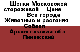 Щенки Московской сторожевой  › Цена ­ 25 000 - Все города Животные и растения » Собаки   . Архангельская обл.,Пинежский 